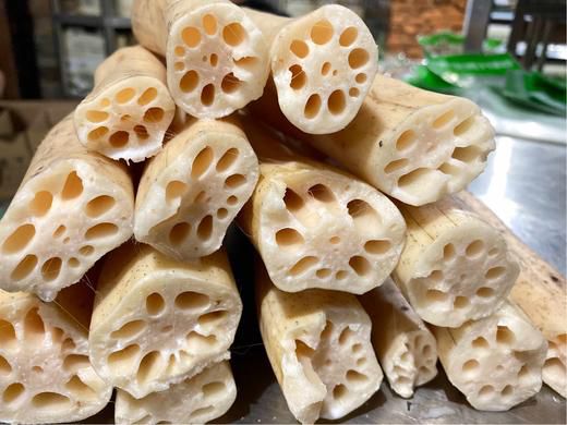 南北二荡八眼藕