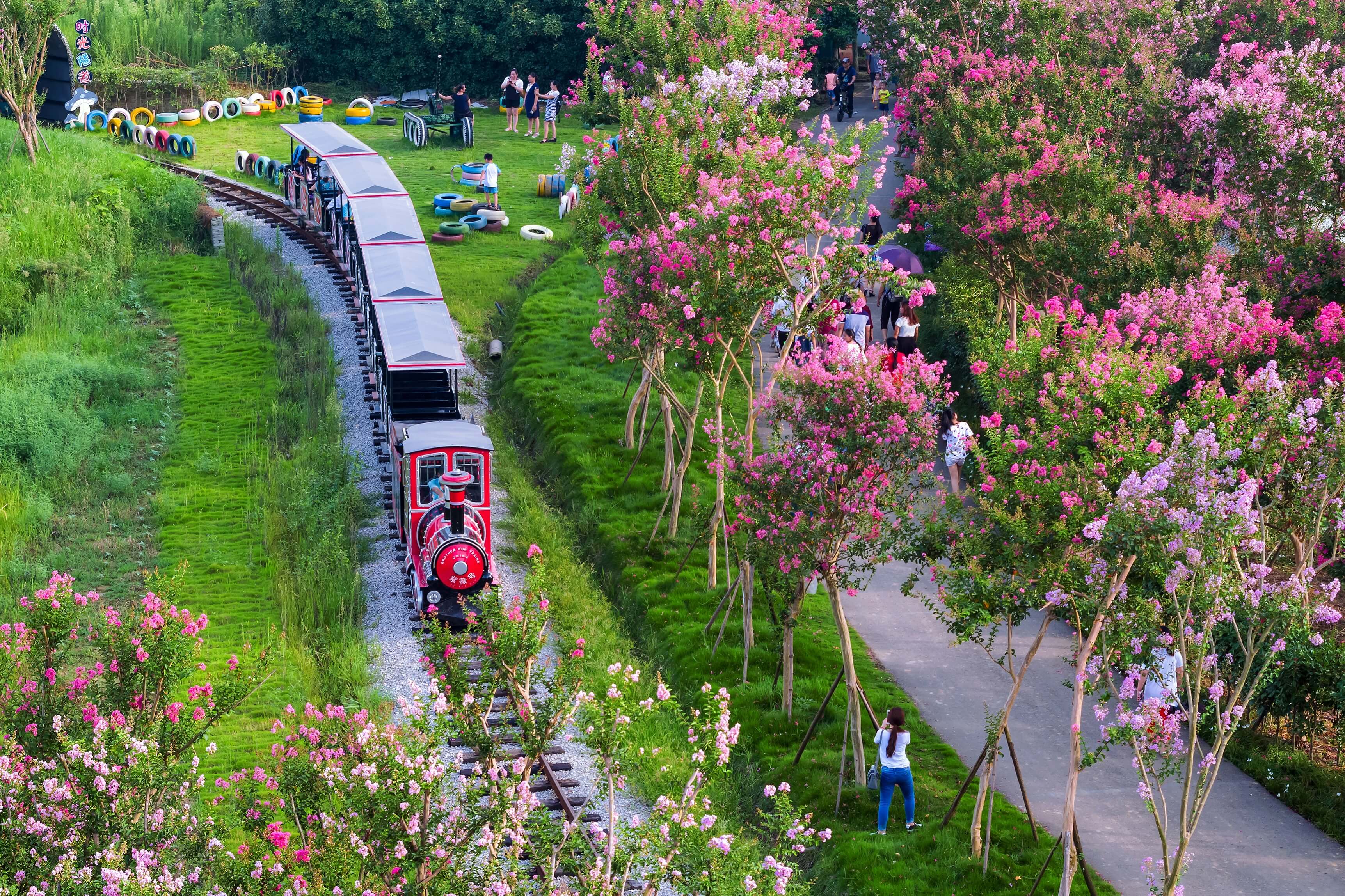 西北部赏花休闲旅游区